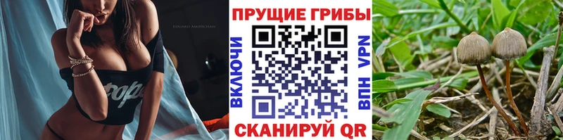 Псилоцибиновые грибы ЛСД  ОМГ ОМГ ссылка  Энем 